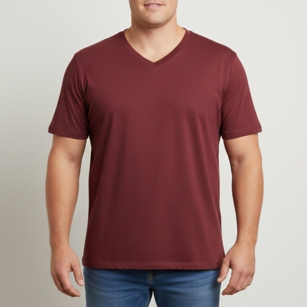 GAP v-neck tee shirt NWT